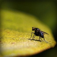 /album/gucciadoa/photolia-a07-jpg/